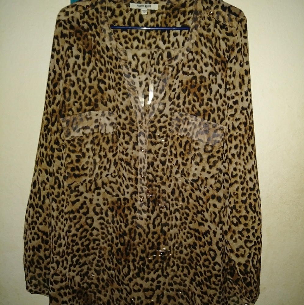 Daniel Raiin Brand Sheer Blouse